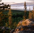 Lapland in summer