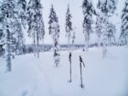 Coolcation in Lapland