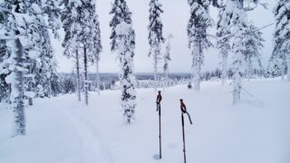 Coolcation in Lapland