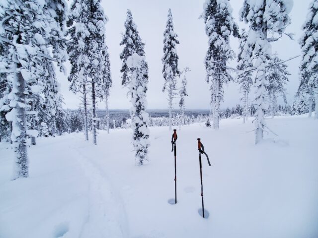 Snowshoeing in a snowy forest in Lapland, Finland.