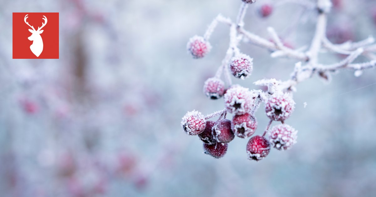 Weather in Lapland Lapland Finland